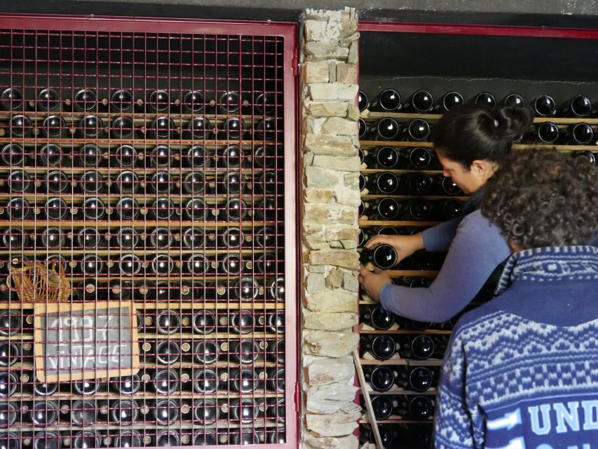 Douro Valley: Winery Tour at Quinta do Tedo and Tastings - Who should book this Douro Valley winery tour (and who should skip it)