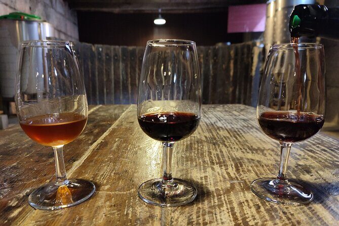 Douro & Vinho Verde: Family Wineries Private Tour in Portugal - Who This Tour Suits Best (and Who Might Want Another Option)