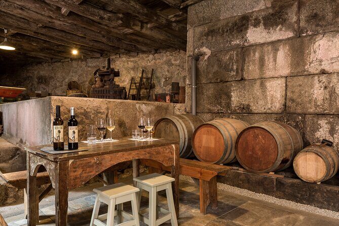 Douro Wine Tasting at a Family Winery in Portugal - Key Highlights You Should Know First