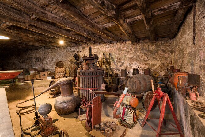 Douro Wine Tasting at a Family Winery in Portugal - Who should book this Douro winery tasting (and who might not love it)