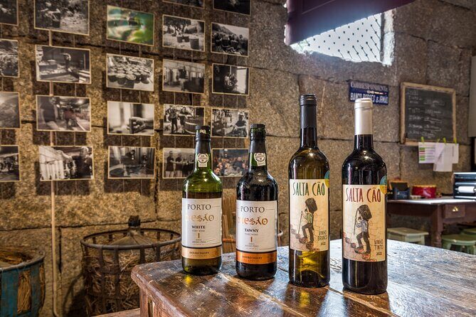 Douro Wine Tasting at a Family Winery in Portugal - Meeting Point and Timing: how the 1 hour 20 minutes usually feels