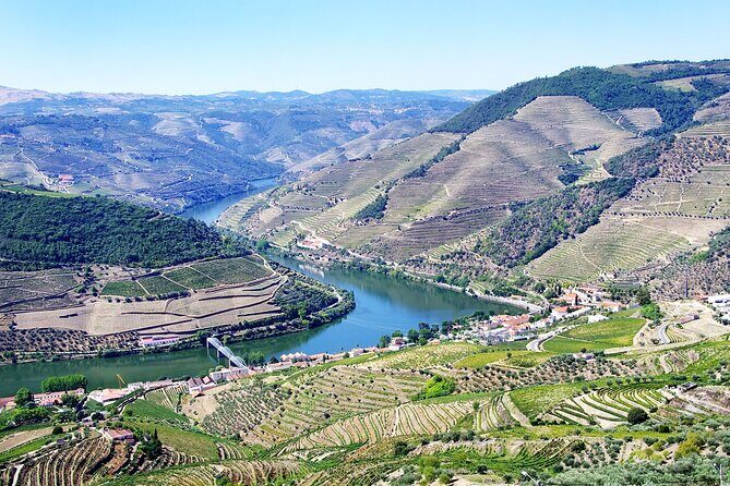 Driver with Private Vehicle in the Douro Valley - Why a private Douro driver beats a rigid tour