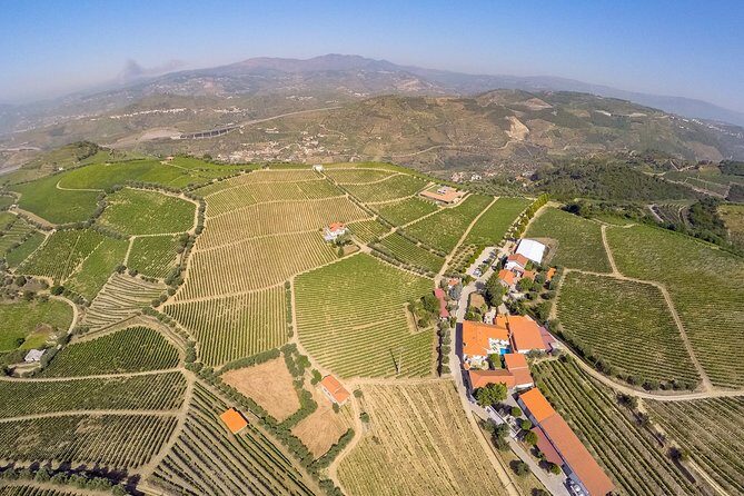 Driver with Private Vehicle in the Douro Valley - The day’s structure: 9 hours with 8 hours you control