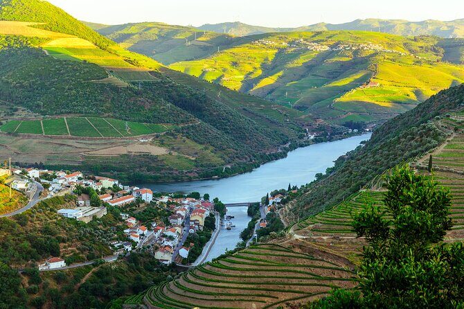Driver with Private Vehicle in the Douro Valley - Car choice and group size: comfort that matters on Douro roads