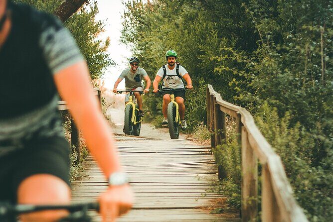 E-Bike Wild Experience with Transport from Porto and Braga - The route’s real magic: climbs you feel, descents you enjoy, then a long beach return