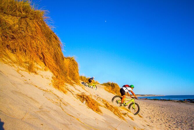 E-Bike Wild Experience with Transport from Porto and Braga - Who should book this e-bike wild experience?