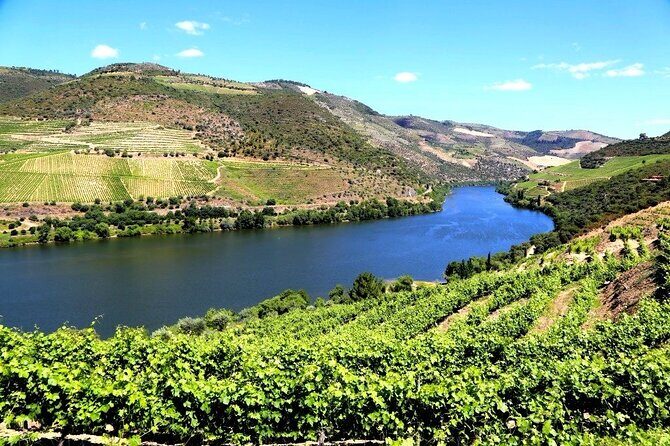Ervedosa do Douro Walking Tour - Who this Douro walking tour suits best
