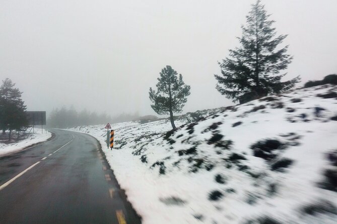 Estrela Mountain, full-day from Coimbra - Lunch Planning: The One Piece You Control