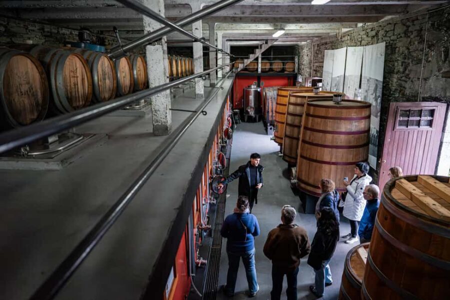 Exclusive Douro Valley: 3 Wineries, 9 Wine Tastings & Lunch - Who This Tour Fits Best (and Who Might Skip)