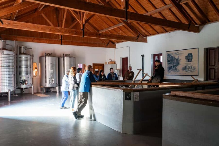 Exclusive Douro Valley: 3 Wineries, 9 Wine Tastings & Lunch - Stop 2: Big Douro Views Plus a 4-Wine DOC Tasting