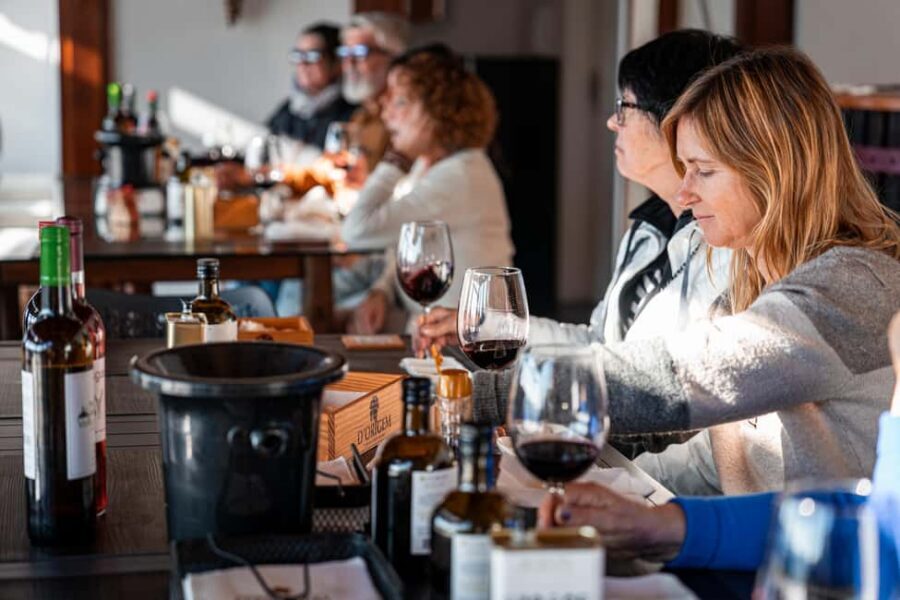 Exclusive Douro Valley: 3 Wineries, 9 Wine Tastings & Lunch - Scenic Road Time on the N222 (It’s Not Just a Drive)