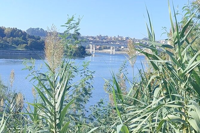 Excursion in Porto for sport lovers - Day 2, Stop 3: Avenida dos Aliados yoga class for a quick reset