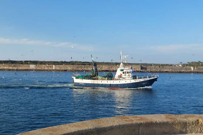 From Aveiro: Costa Nova, Barra, Vista Alegre - Half-Day Trip - Praia da Barra’s sea gate and lighthouse walk