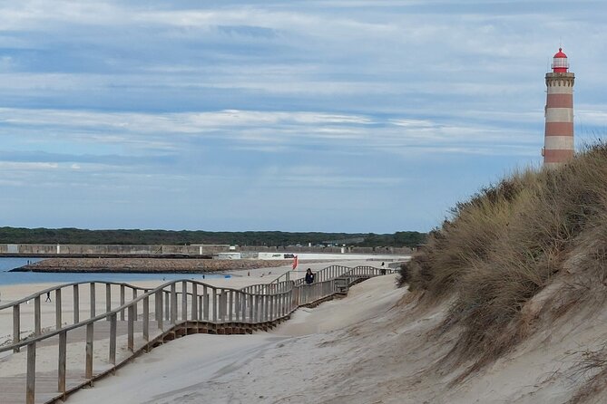From Aveiro: Costa Nova, Barra, Vista Alegre - Half-Day Trip - Vista Alegre: museum ceramics, a chapel of azulejos, and shop time
