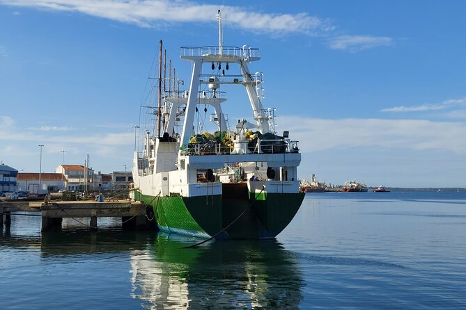 From Aveiro: Costa Nova, Barra, Vista Alegre - Half-Day Trip - Who should book this tour (and who might skip)