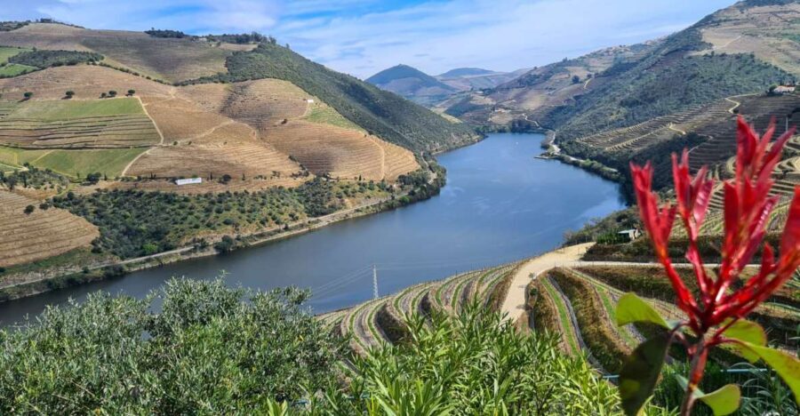 From Peso da Régua: Visit 3 wineries, tasting and viewpoint - Key highlights at a glance