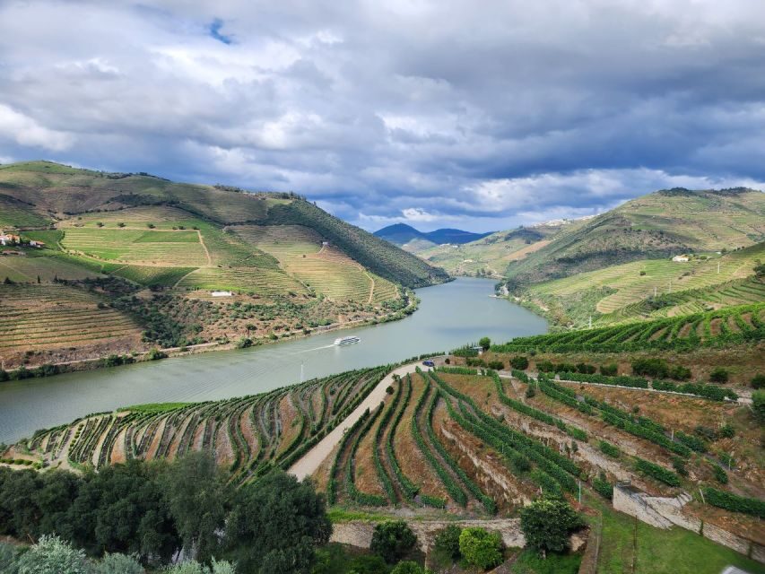 From Peso da Régua: Visit 3 wineries, tasting and viewpoint - Private Douro Valley wine day: why this format feels like a win