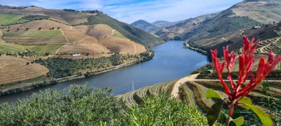 From Peso da Régua: Visit 3 wineries, tasting and viewpoint - Stop 1: first winery tasting (1.5 hours) and getting your bearings