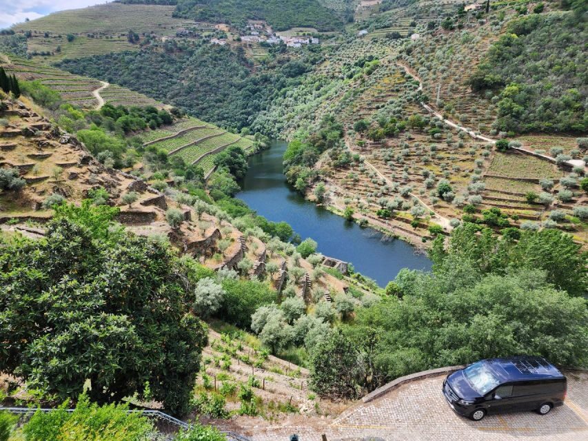 From Peso da Régua: Visit 3 wineries, tasting and viewpoint - How the pacing works: 7 hours, comfort, and no rushing