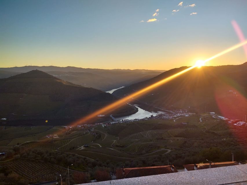 From Peso da Régua: Visit 3 wineries, tasting and viewpoint - What to expect at the wineries: time to taste and ask questions
