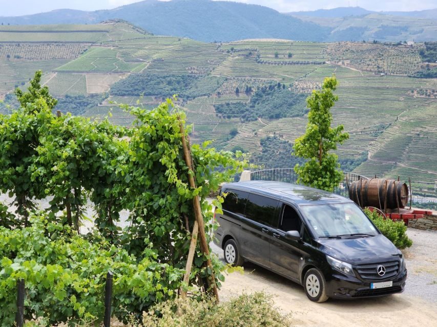 From Peso da Régua: Visit 3 wineries, tasting and viewpoint - From Peso da Régua pickup to viewpoint views: the day starts easy
