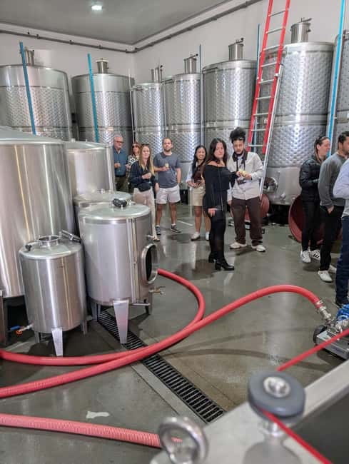 From Porto: 2 Wine Regions, Farm-to-Table Lunch & Boat - Who This Tour Fits Best (and Who Should Skip It)