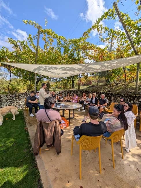 From Porto: 2 Wine Regions, Farm-to-Table Lunch & Boat - Lunch That Feels Like Food, Not Fuel