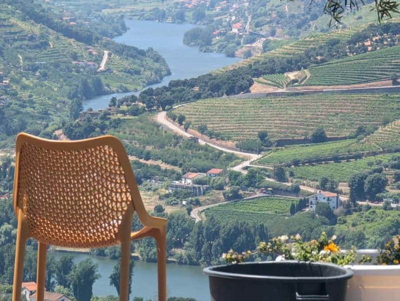 From Porto: 2 Wine Regions, Farm-to-Table Lunch & Boat - Olive Oil Tastings: The Pairing Lesson You Might Not Expect