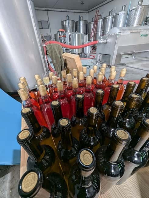 From Porto: 2 Wine Regions, Farm-to-Table Lunch & Boat - Pinhão Free Time and the River Cruise Finish