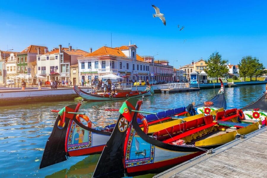 From Porto: Aveiro Half Day Tour - Costa Nova’s Striped Houses: The Photo Stop That Defines the Trip