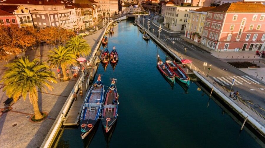 From Porto: Aveiro Private Guided Day Trip - The Moliceiro Boats and Ria Cruise: Seeing Work on the Water
