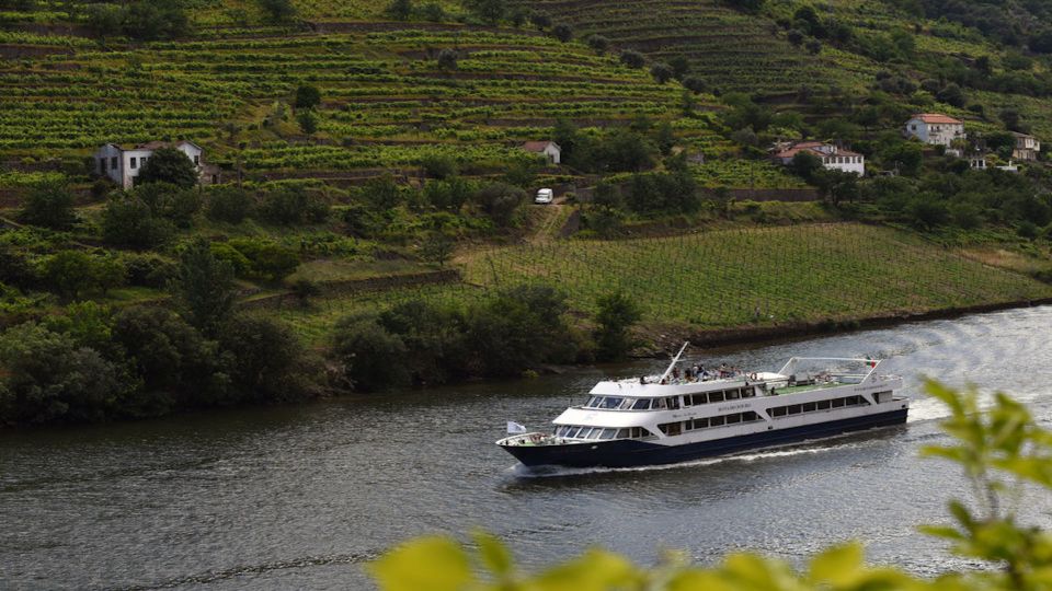 From Porto: Douro River Cruise, Winery Visit & Lunch - Régua and the dam stops: what these moments add (and what they don’t)