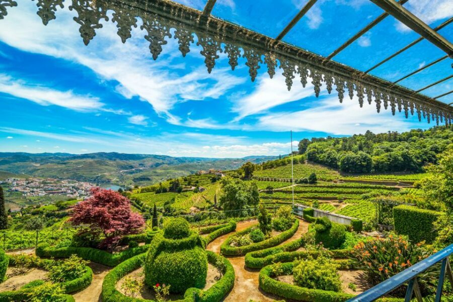 From Porto: Douro Valley w/ Boat Tour, Wine Tasting & Lunch - The second wine stop in Pinhão: another cooperative moment and more Port