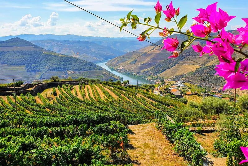 From Porto: Douro Valley with Wineries, Lunch and Boat Trip - Why this Douro day feels different than a typical wine tour
