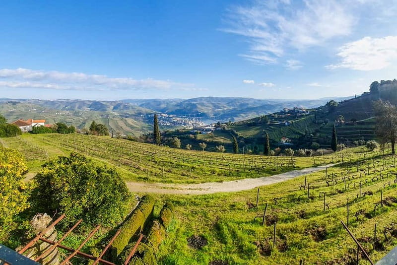 From Porto: Douro Valley with Wineries, Lunch and Boat Trip - Small-group guides: why names like Alex, Rita, and Jorge keep showing up