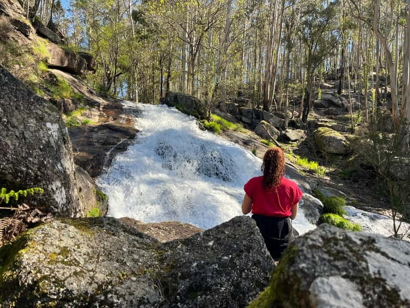 From Porto: Forest Waterfalls & Roman Ruins Trail Tour - Why Quedas de Fervença + Monte Padrão Works So Well