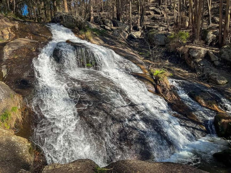 From Porto: Forest Waterfalls & Roman Ruins Trail Tour - Quedas da Fervença Waterfalls: Where the Hike Gets Its Payoff