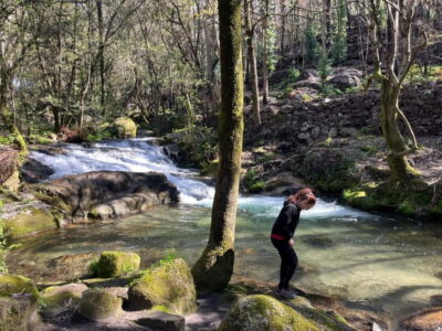 From Porto: Forest Waterfalls & Roman Ruins Trail Tour - The 6km Forest Trek: Uneven Ground and Real Breathing Space