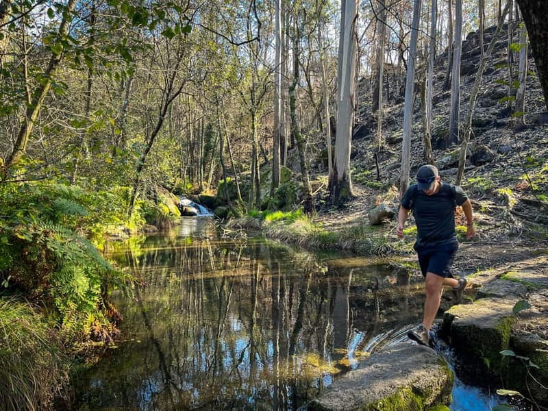 From Porto: Forest Waterfalls & Roman Ruins Trail Tour - A Quick Pause in Rural Life (And Then Back to the Trail)