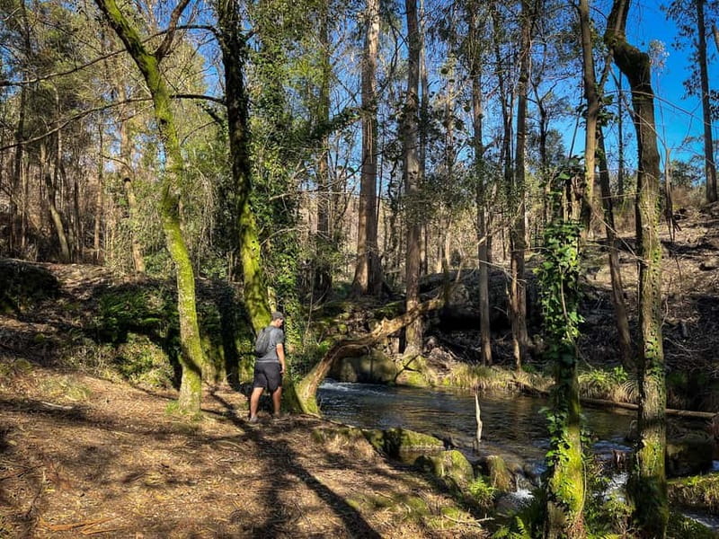 From Porto: Forest Waterfalls & Roman Ruins Trail Tour - How the Small Group (Max 6) Improves Your Walking Day