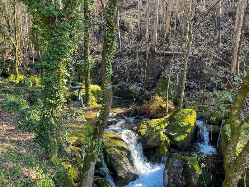 From Porto: Forest Waterfalls & Roman Ruins Trail Tour - Photo Stops and Porto Drop-Off Points You Might Appreciate