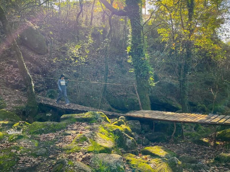 From Porto: Forest Waterfalls & Roman Ruins Trail Tour - Practical Stuff: What to Bring and How to Stay Comfortable