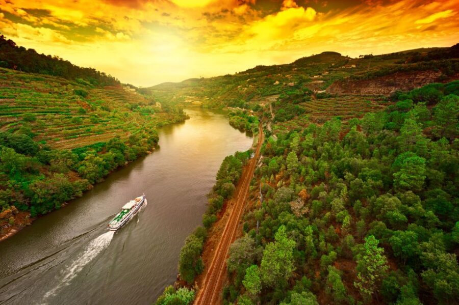 From Porto: Full-Day Douro Historical Tour - Practical Tips That Make Your Day Smoother