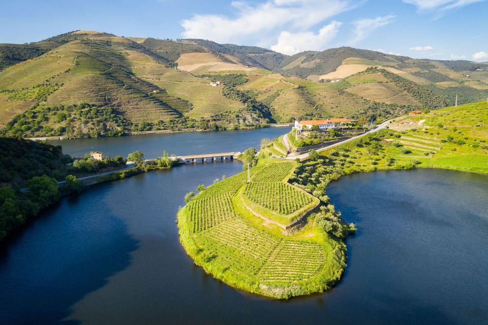 From Porto: Full-Day Douro Valley Trip - Starting at Igreja da Lapa, then settling into the N222 drive