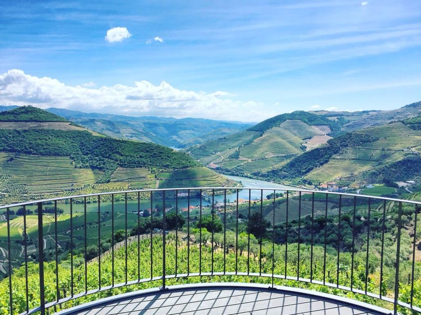 From Porto: Full-Day Douro Valley Trip - Pinhão and the Douro River cruise: the hour you’ll remember