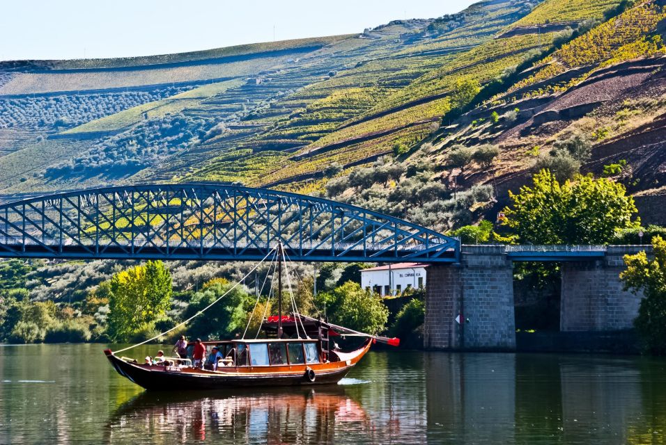 From Porto: Full-Day Douro Valley Trip - Timing and comfort: a realistic view of a 10-hour day
