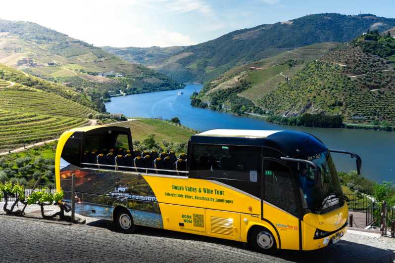 From Porto: Full-Day Douro Valley & Wine Tour with Lunch - Quinta São Luiz: tasting with an explanation (not just a pour)