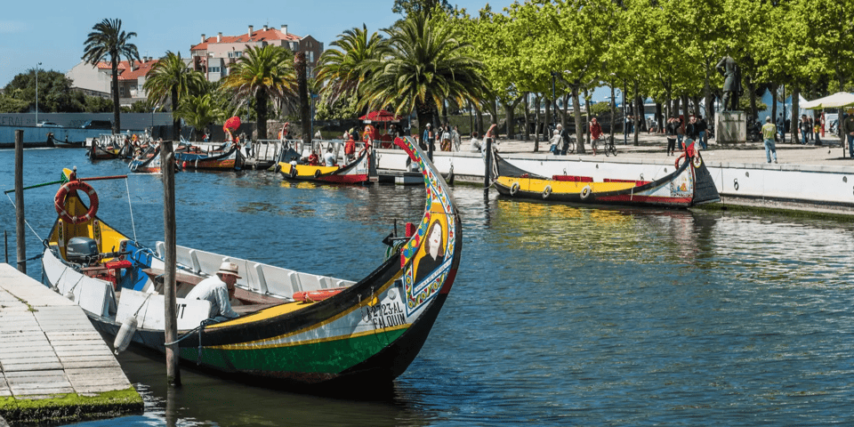 From Porto: Full-Day Trip to Coimbra & Aveiro with Boat Ride - Getting from Porto: the van ride that sets the tone