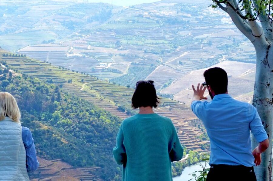 From Porto: Small-Group Douro Valley Wine Tour Lunch & Boat - From Porto to the Douro: your small-group van day plan