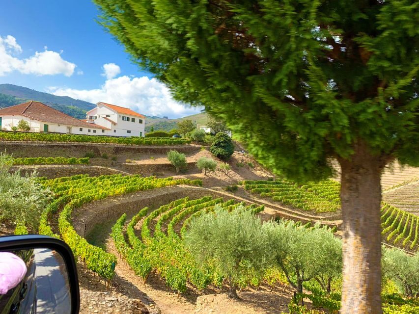 From Porto: Small-Group Douro Valley Wine Tour Lunch & Boat - Price and value: why $91 can work for a full-day Douro